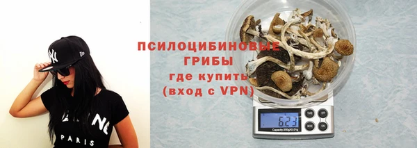 бутират Вяземский