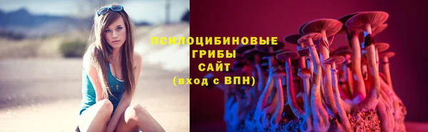 соль ск Вязники